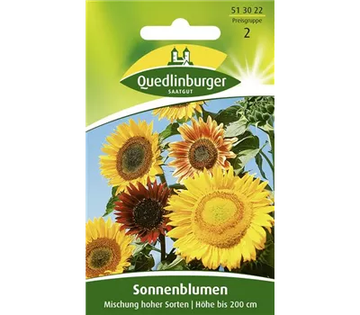 Sonnenblumensamen 'Mischung hoher Sorten'