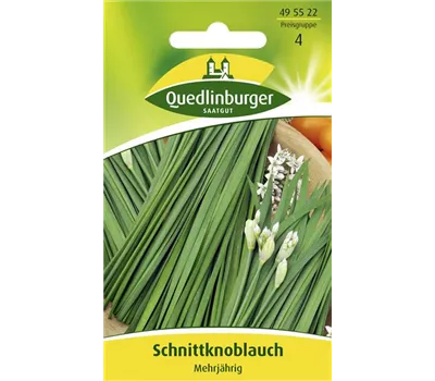 Schnittknoblauchsamen