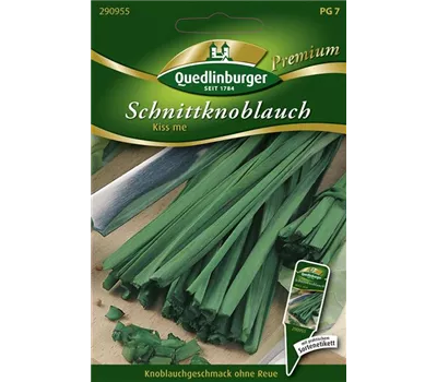 Schnittknoblauchsamen 'Kiss Me'