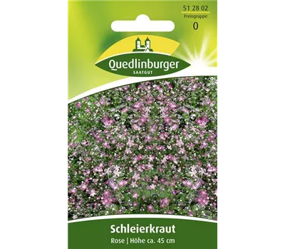 Sommer-Schleierkraut-Samen