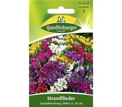 Strandfliedersamen 'Spezialmischung'