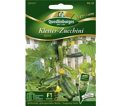 Zucchinisamen 'Quine'