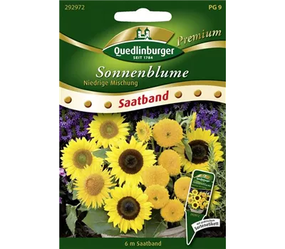 Sonnenblumensamen 'Niedrige Mischung'