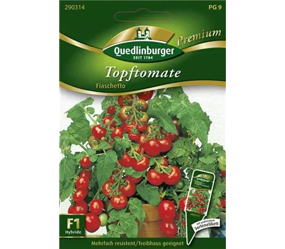Tomatensamen 'Fiaschetto F1'