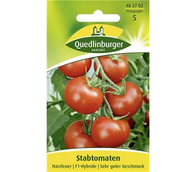 Tomatensamen 'Harzfeuer F1'