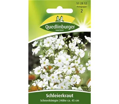 Sommer-Schleierkraut-Samen 'Schneekönigin'