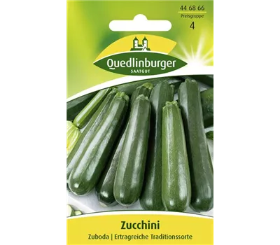 Zucchinisamen 'Zuboda'