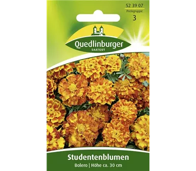 Studentenblumensamen 'Bolero'