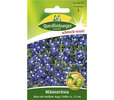 Männertreusamen 'Blau mit weißem Auge'