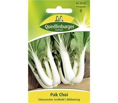 Pak Choi-Samen