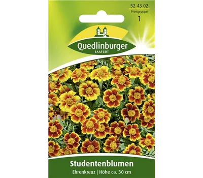 Studentenblumensamen 'Ehrenkreuz'