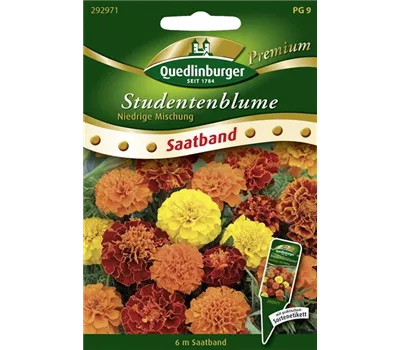 Studentenblumensamen 'Niedrige Mischung'