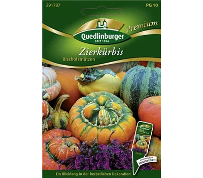 Kürbissamen 'Bischofsmütze' Kürbissamen 'Bischofsmütze'