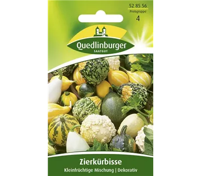 Zierkürbissamen 'Kleinfruchtige Mischung'