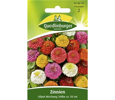 Zinniensamen 'Liliput'