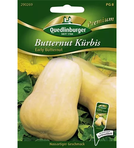Kürbissamen 'Early Butter Nut F1'