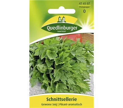 Schnittselleriesamen 'Gewone Snij'