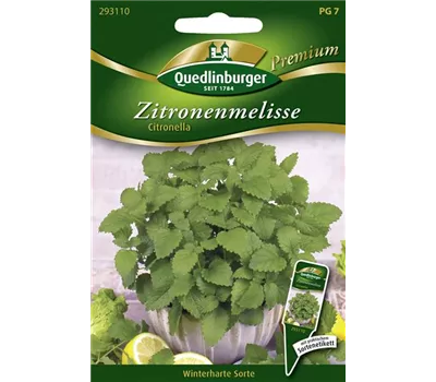 Zitronenmelissensamen 'Citronella'