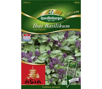Thai-Basilikum-Samen 'Siam Queen'