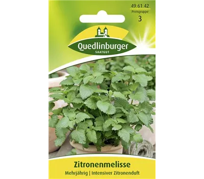 Zitronen-Melisse-Samen