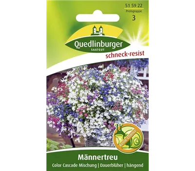 Lobeliensamen 'Color Cascade'
