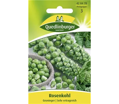 Rosenkohlsamen 'Groninger'
