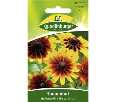 Rauer Sonnenhut-Samen 'Herbstwald'