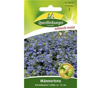 Lobeliensamen 'Kristallpalast'