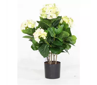 fleur ami HORTENSIE Kunstpflanze fleur ami HORTENSIE Kunstpflanze
