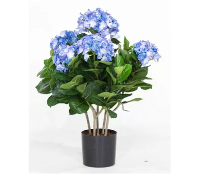 fleur ami HORTENSIE Kunstpflanze fleur ami HORTENSIE Kunstpflanze