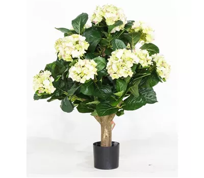 fleur ami HORTENSIE Kunstpflanze fleur ami HORTENSIE Kunstpflanze