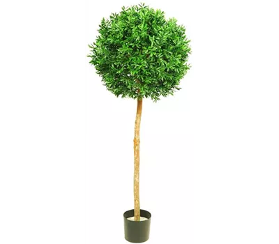 fleur ami ILEX BAUM Kunstpflanze fleur ami ILEX BAUM Kunstpflanze