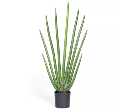 fleur ami SANSEVIERIA CYLINDRICA Kunstpflanze