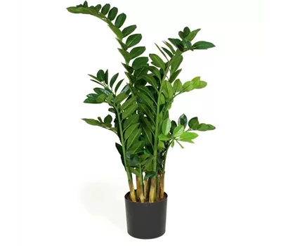 fleur ami ZAMIOCULCAS Kunstpflanze fleur ami ZAMIOCULCAS Kunstpflanze