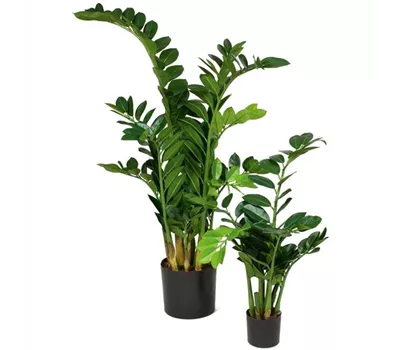 fleur ami ZAMIOCULCAS Kunstpflanze fleur ami ZAMIOCULCAS Kunstpflanze
