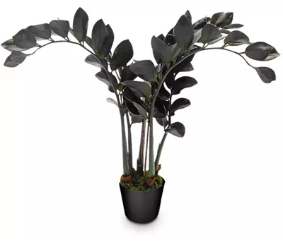 fleur ami ZAMIOCULCAS Kunstpflanze fleur ami ZAMIOCULCAS Kunstpflanze