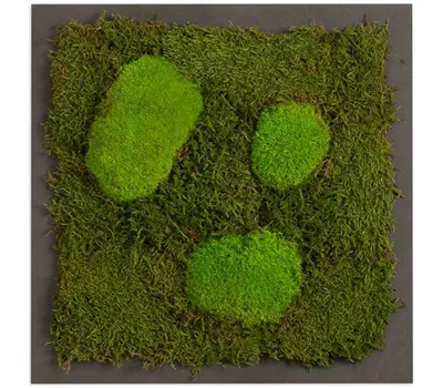 fleur ami PREMIUM Moos-Bild fleur ami PREMIUM Moos-Bild