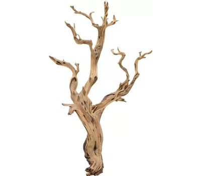 fleur ami Ghostwood fleur ami Ghostwood