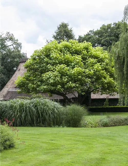 Frühjahrskur für Ihren Rasen