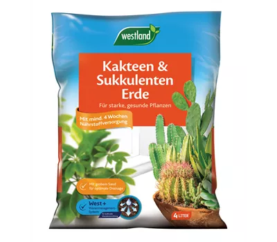 Westland Kakteen-&Sukkulentenerde 4 l Westland Kakteen-&Sukkulentenerde 4 l
