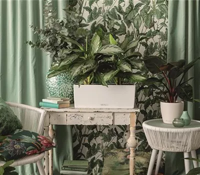 LECHUZA BALCONERA Color 50  LECHUZA BALCONERA Color 50