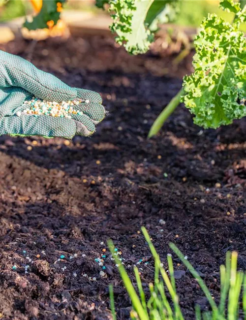 Dünger ist nicht gleich Dünger
