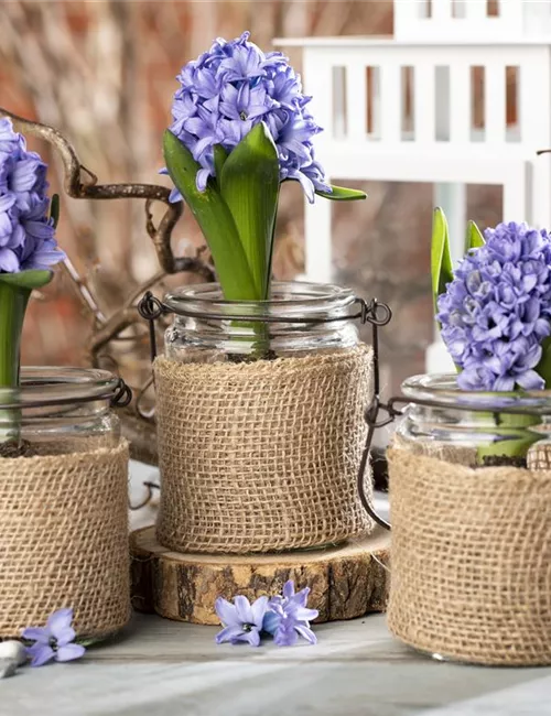 Frühling vor der Haustür – Zeit für Dekoration