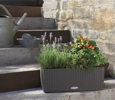 LECHUZA BALCONERA Cottage 50  LECHUZA BALCONERA Cottage 50