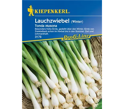 Winterlauchzwiebel 'Tonda Musona' Winterlauchzwiebel 'Tonda Musona'