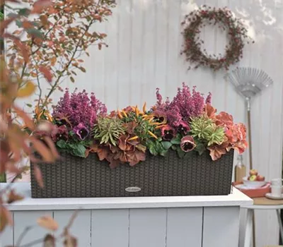 LECHUZA BALCONERA Cottage 80  LECHUZA BALCONERA Cottage 80