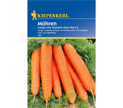 Möhre 'Lange, Rote, Stumpfe ohne Herz 2'