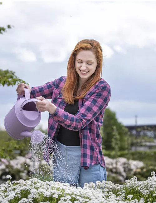 Frühling ist Pflanzzeit – ab in den Garten!