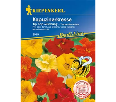 Kapuzinerkresse 'Tip Top Mischung'