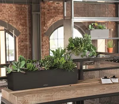 LECHUZA BALCONERA Stone 80  LECHUZA BALCONERA Stone 80